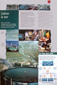 Le panneau 11