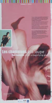 Le panneau 6